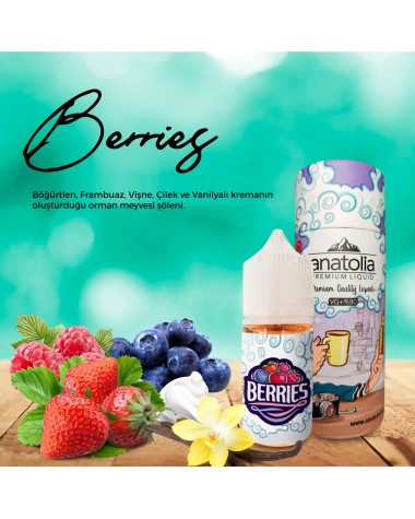 BERRIES  ( SALT LİKİT ) 